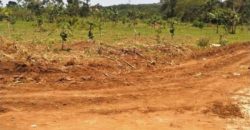 New Plots at Buwambo-Matugga