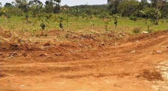 New Plots at Buwambo-Matugga