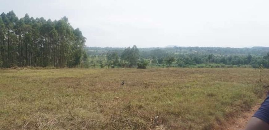 Land in Kikandwa