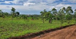 land for sale in katende -masaka road