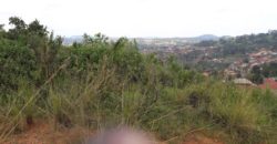 An acre of land for sale on the beautiful hills of Nakabugo Bbira bulenga mityana road at 4ooM