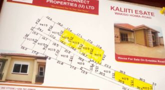 Kaliiti Estate plots at 13 million