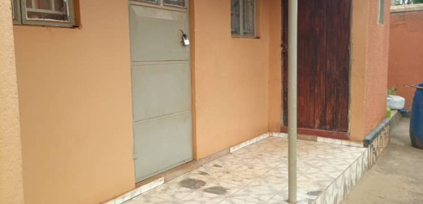 Kisaasi houses for rent