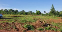 Land for sale in Gobero on Hoima road at 10m