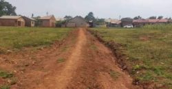 Plots for sale with ready private mailo land title in Nantabulirirwa – Namanve Price -50million each – 50by 100ft