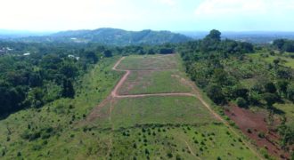 Gobero-Muguluka Estate at 8m, 50by100ft with a land title