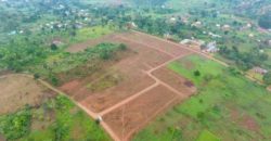 PLOTS FOR SALE IN NKOOWE ALONG HOIMA ROAD AT 30-35M . 50*100FT WITH A LAND TITLE