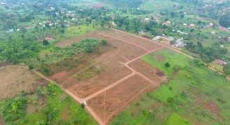 PLOTS FOR SALE IN NKOOWE ALONG HOIMA ROAD AT 30-35M . 50*100FT WITH A LAND TITLE