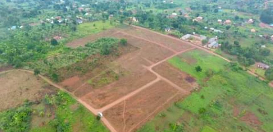 PLOTS FOR SALE IN NKOOWE ALONG HOIMA ROAD AT 30-35M . 50*100FT WITH A LAND TITLE