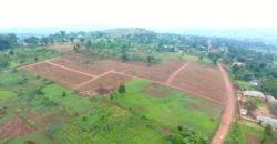 PLOTS FOR SALE IN NKOOWE ALONG HOIMA ROAD AT 30-35M . 50*100FT WITH A LAND TITLE