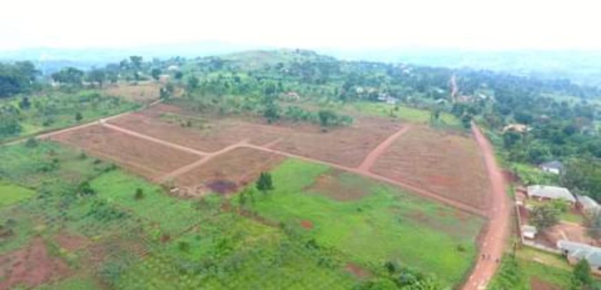 PLOTS FOR SALE IN NKOOWE ALONG HOIMA ROAD AT 30-35M . 50*100FT WITH A LAND TITLE