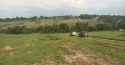 PLOTS FOR SALE BUJJUKO ESTATE ALONG MITYANA ROAD 50 BY 100FT AT 25-30M WITH A LAND TITLE