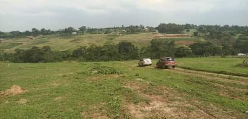 PLOTS FOR SALE BUJJUKO ESTATE ALONG MITYANA ROAD 50 BY 100FT AT 25-30M WITH A LAND TITLE