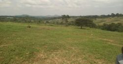 PLOTS FOR SALE BUJJUKO ESTATE ALONG MITYANA ROAD 50 BY 100FT AT 25-30M WITH A LAND TITLE