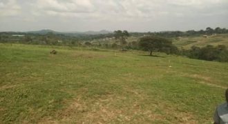 PLOTS FOR SALE BUJJUKO ESTATE ALONG MITYANA ROAD 50 BY 100FT AT 25-30M WITH A LAND TITLE