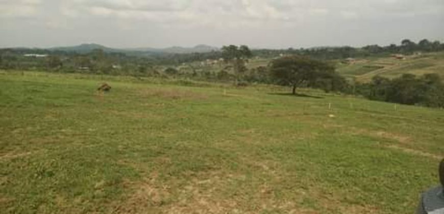 PLOTS FOR SALE BUJJUKO ESTATE ALONG MITYANA ROAD 50 BY 100FT AT 25-30M WITH A LAND TITLE