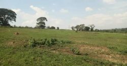 PLOTS FOR SALE BUJJUKO ESTATE ALONG MITYANA ROAD 50 BY 100FT AT 25-30M WITH A LAND TITLE