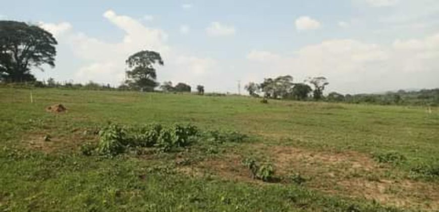 PLOTS FOR SALE BUJJUKO ESTATE ALONG MITYANA ROAD 50 BY 100FT AT 25-30M WITH A LAND TITLE