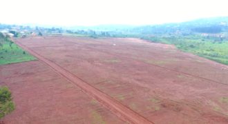 PLOTS FOR SALE IN KITENDE SSEKIWUNGA ALONG ENTEBBE ROAD AT 60Million, 50BY100FT WITH A LAND TITLE