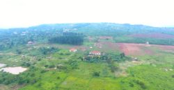 PLOTS FOR SALE IN KITENDE SSEKIWUNGA ALONG ENTEBBE ROAD AT 60Million, 50BY100FT WITH A LAND TITLE