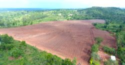 PLOTS FOR SALE IN NEW GOBERO MUGULUKA ESTATE LOCATED ALONG HOIMA ROAD AT 8-12M 50*100FT WITH A LAND TITLE