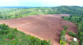 PLOTS FOR SALE IN NEW GOBERO MUGULUKA ESTATE LOCATED ALONG HOIMA ROAD AT 8-12M 50*100FT WITH A LAND TITLE