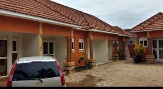 6 DOUBLE UNITS FOR SALE IN KYANJA AT 400M SEATED ON 14 DECIMALS WITH PRIVATE MAILO LAND TITLE