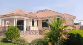 HOUSE FOR SALE AT 300M LOCATED IN GAYAZA KIWENDA SEATED ON 50 DECIMALS