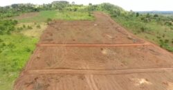 LAND FOR SALE ALONG HOIMA ROAD