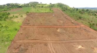 LAND FOR SALE ALONG HOIMA ROAD