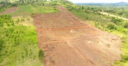 LAND FOR SALE ALONG HOIMA ROAD