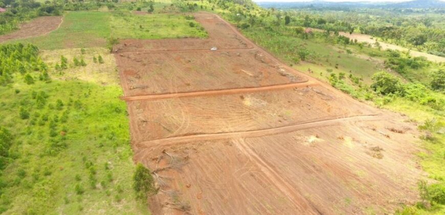 LAND FOR SALE ALONG HOIMA ROAD