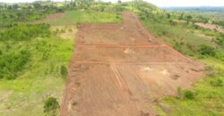 LAND FOR SALE ALONG HOIMA ROAD