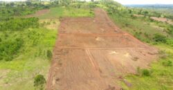 LAND FOR SALE ALONG HOIMA ROAD